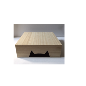 superhelden geheimen