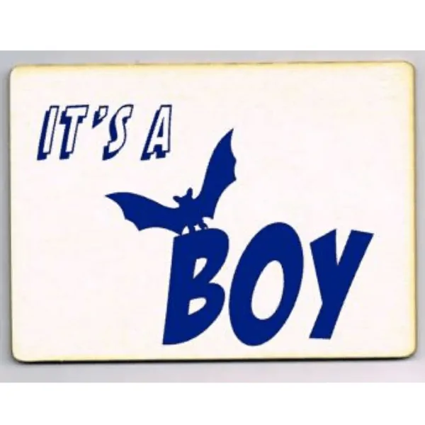 geboortekaart its a boy batman