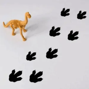 Muursticker dino poot afdruk